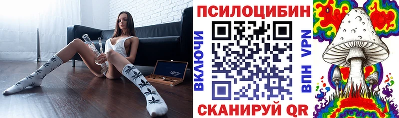 Галлюциногенные грибы Psilocybe  сколько стоит  KRAKEN онион  Наволоки 